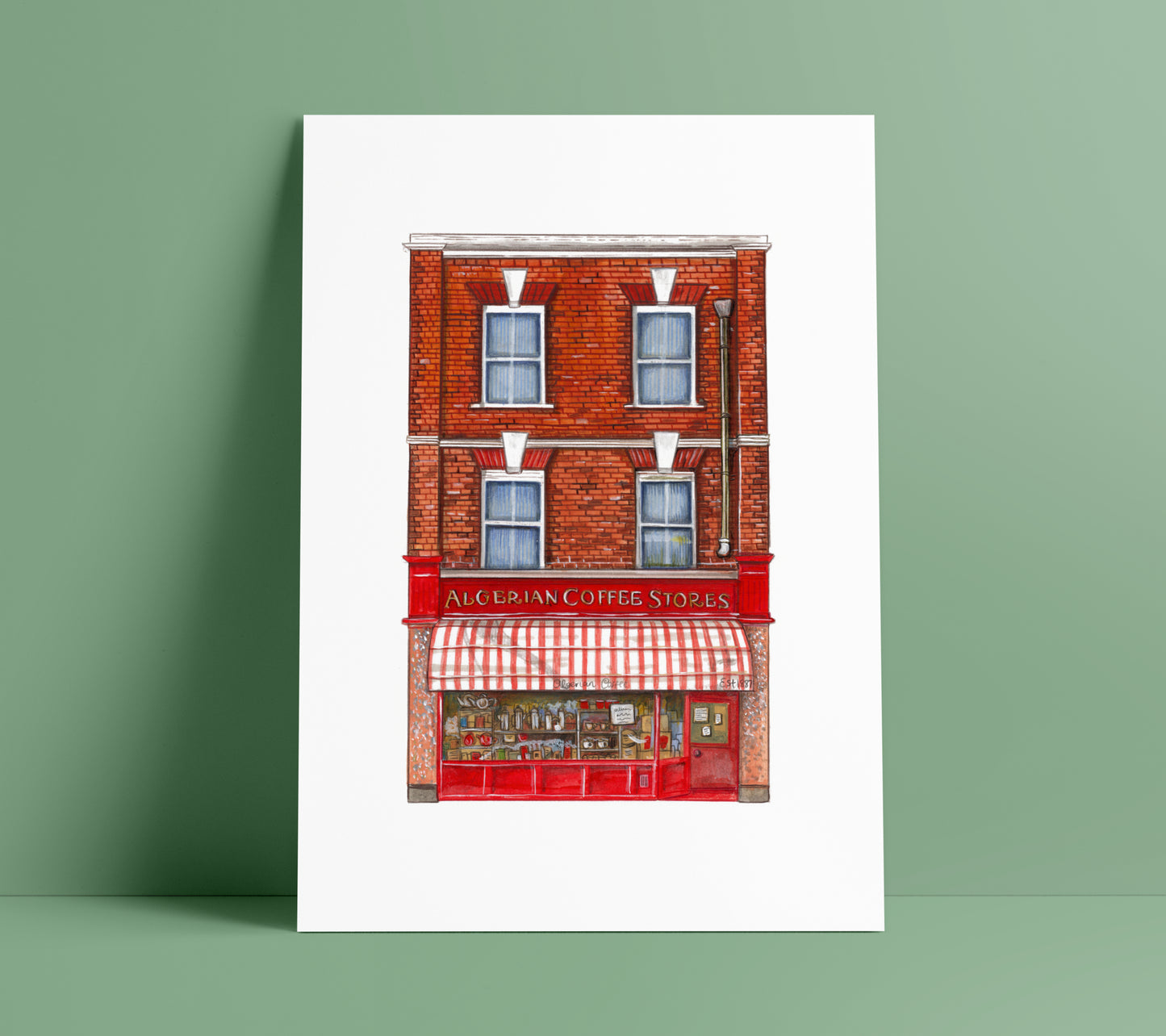 Algerian coffee house art print on a green background
